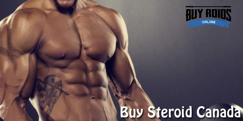 buy steroid Canada