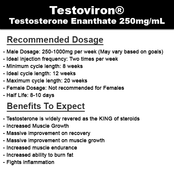 CVP-Testosterone-Enanthate-Description