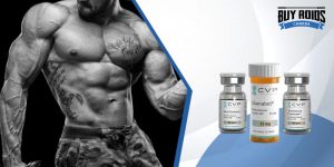 Deca Durabolin Cycle, Stacks, Results & Effects-Canada steroids online