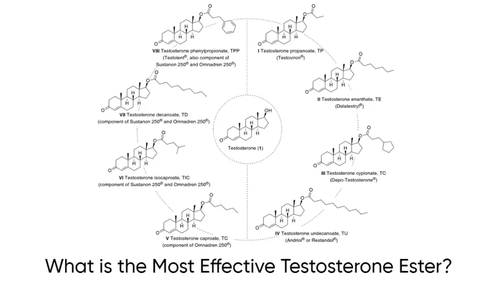 What is the Most Effective Testosterone Ester