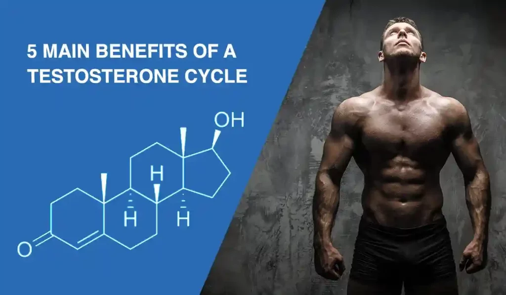 5 MAIN BENEFITS OF A TESTOSTERONE CYCLE