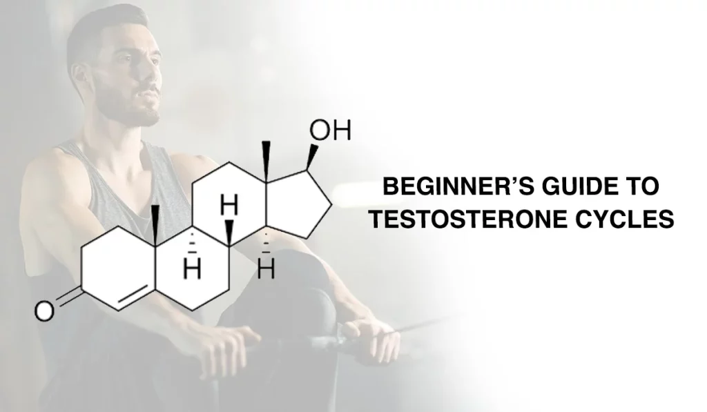 BEGINNER’S GUIDE TO TESTOSTERONE CYCLES