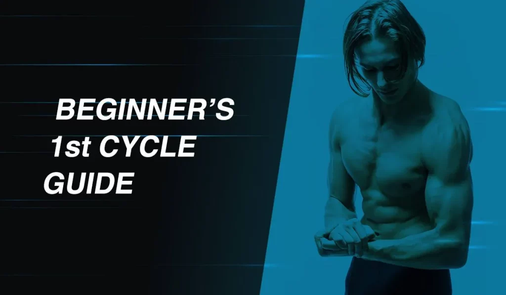 first steroid cycle for beginners