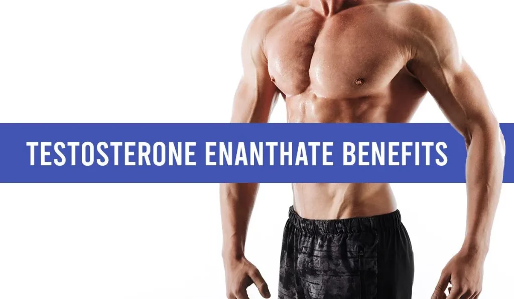 TESTOSTERONE ENANTHATE BENEFITS FOR FIRST STEROID CYCLE
