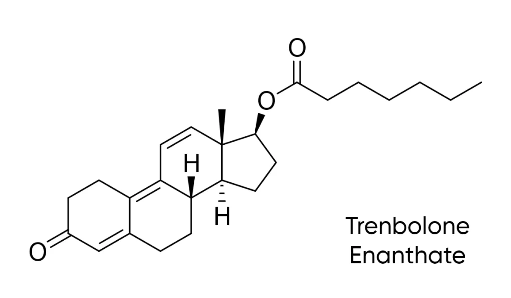 What is Trenbolone Enanthate