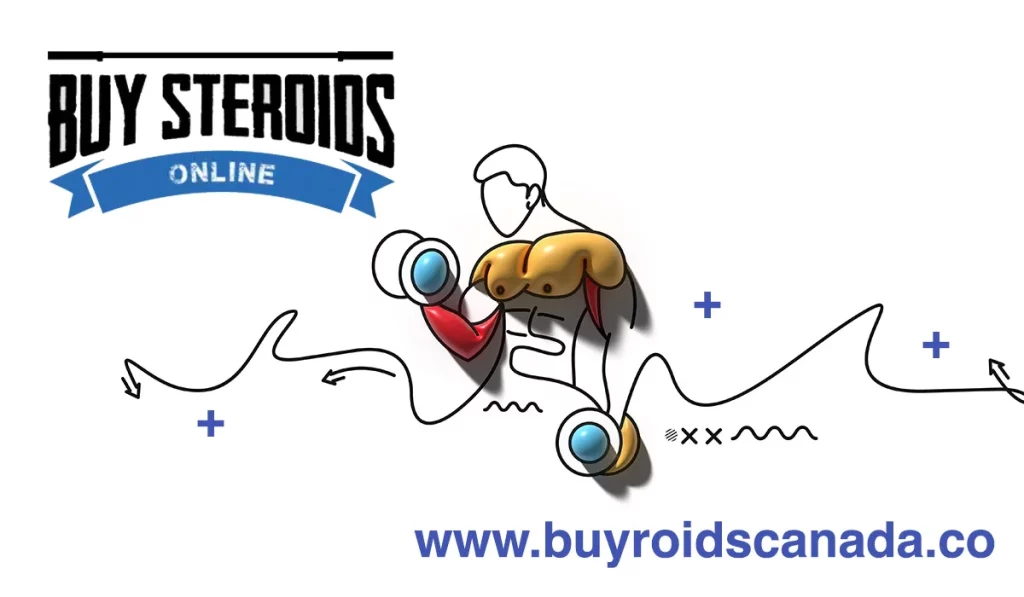 Where Can I Buy Anabolic Steroids Online?