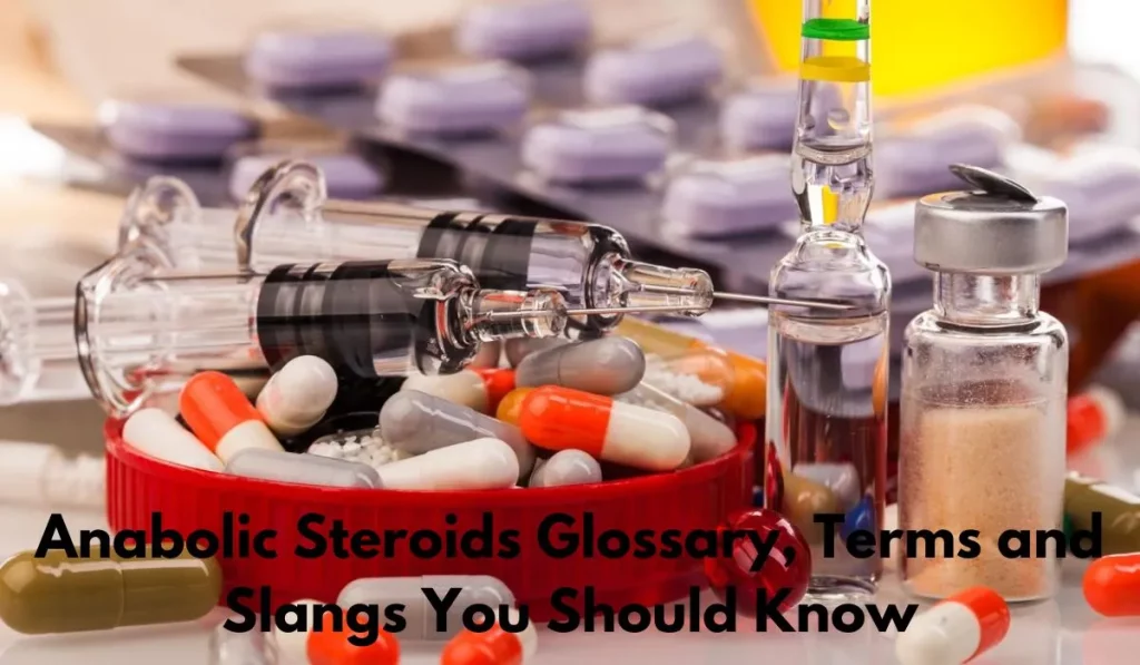 Anabolic Steroids Glossary Terms and Slangs You Should Know