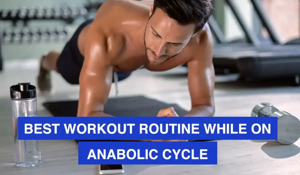 Best Workout Routine While on Anabolic Cycle