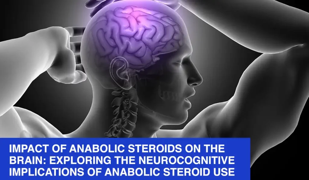 Impact of Anabolic Steroids on the Brain Exploring the Neurocognitive Implications of Anabolic Steroid Use