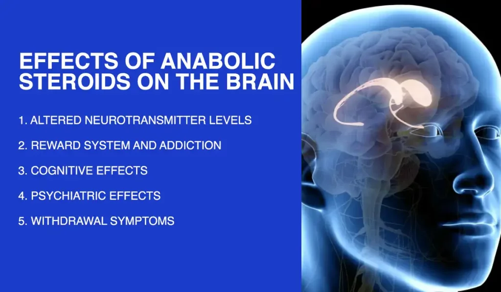 Effects of Anabolic Steroids on the Brain