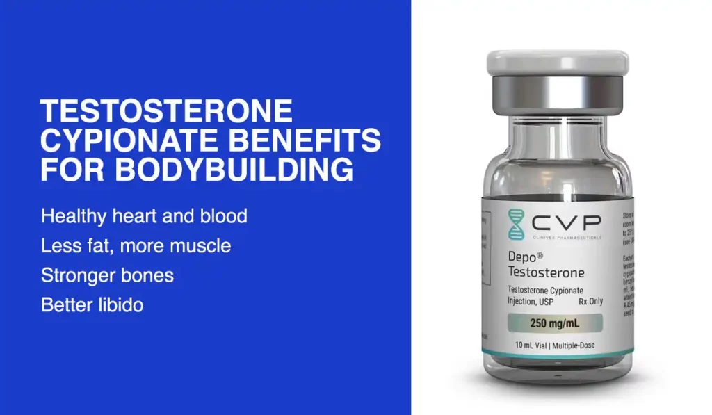 Testosterone Cypionate benefits for bodybuilding