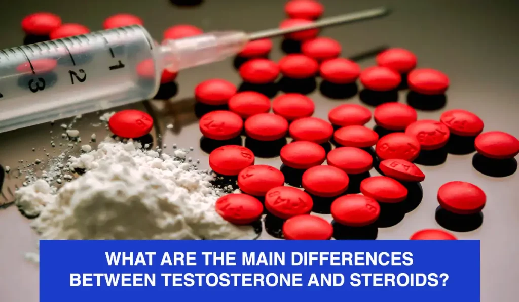 What Are the Main Differences Between Testosterone and Steroids?
