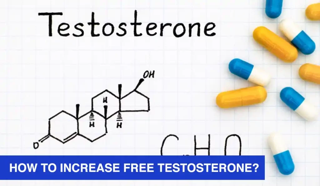 How to Increase Free Testosterone?