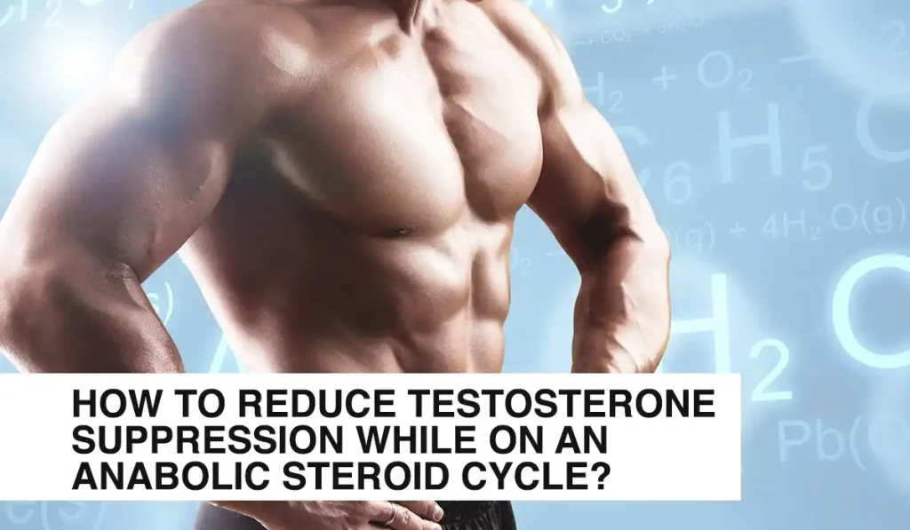 How to reduce Testosterone Suppression while on an Anabolic Steroid Cycle? 