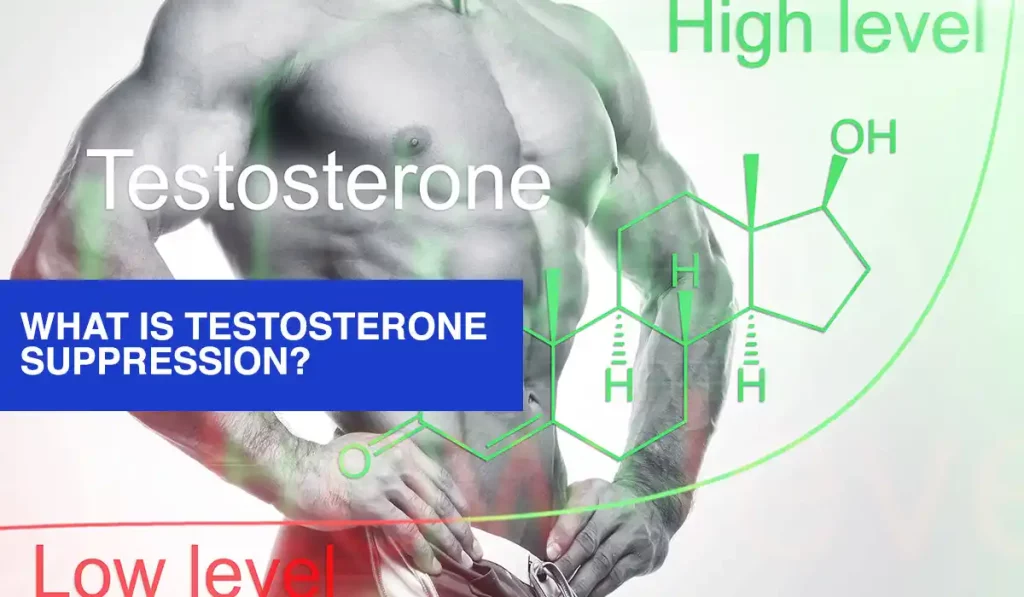 What is Testosterone Suppression?